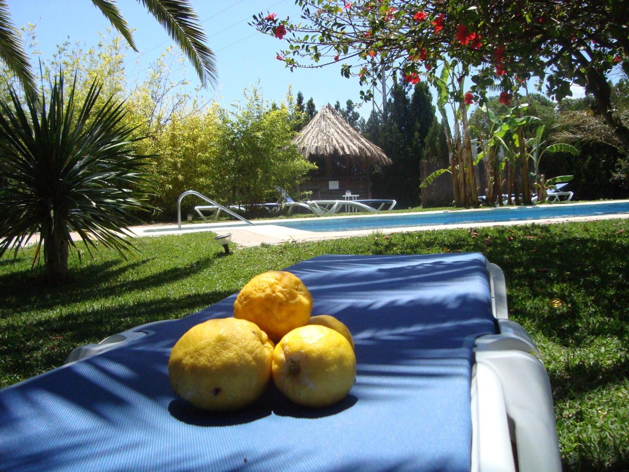 Resort Puravida Zahora
