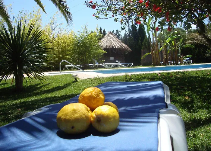 Bungalows Puravida